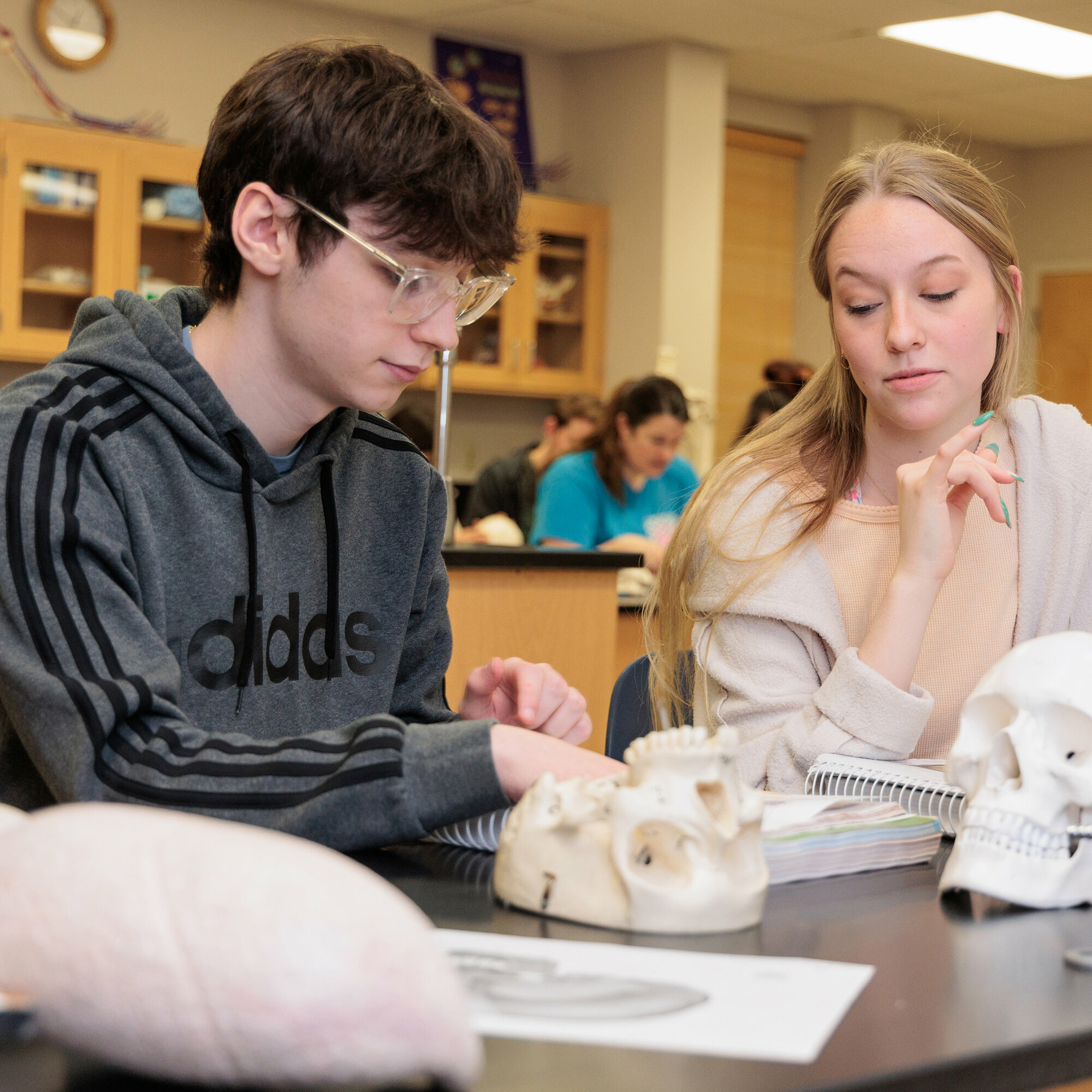 Two college students study together in a science classroom. The student on the left, wearing glasses and a gray Adidas hoodie, examines an anatomical skull model while the student on the right, with long blonde hair and a beige sweater, looks on thoughtfully. Additional students and lab equipment are visible in the background.
