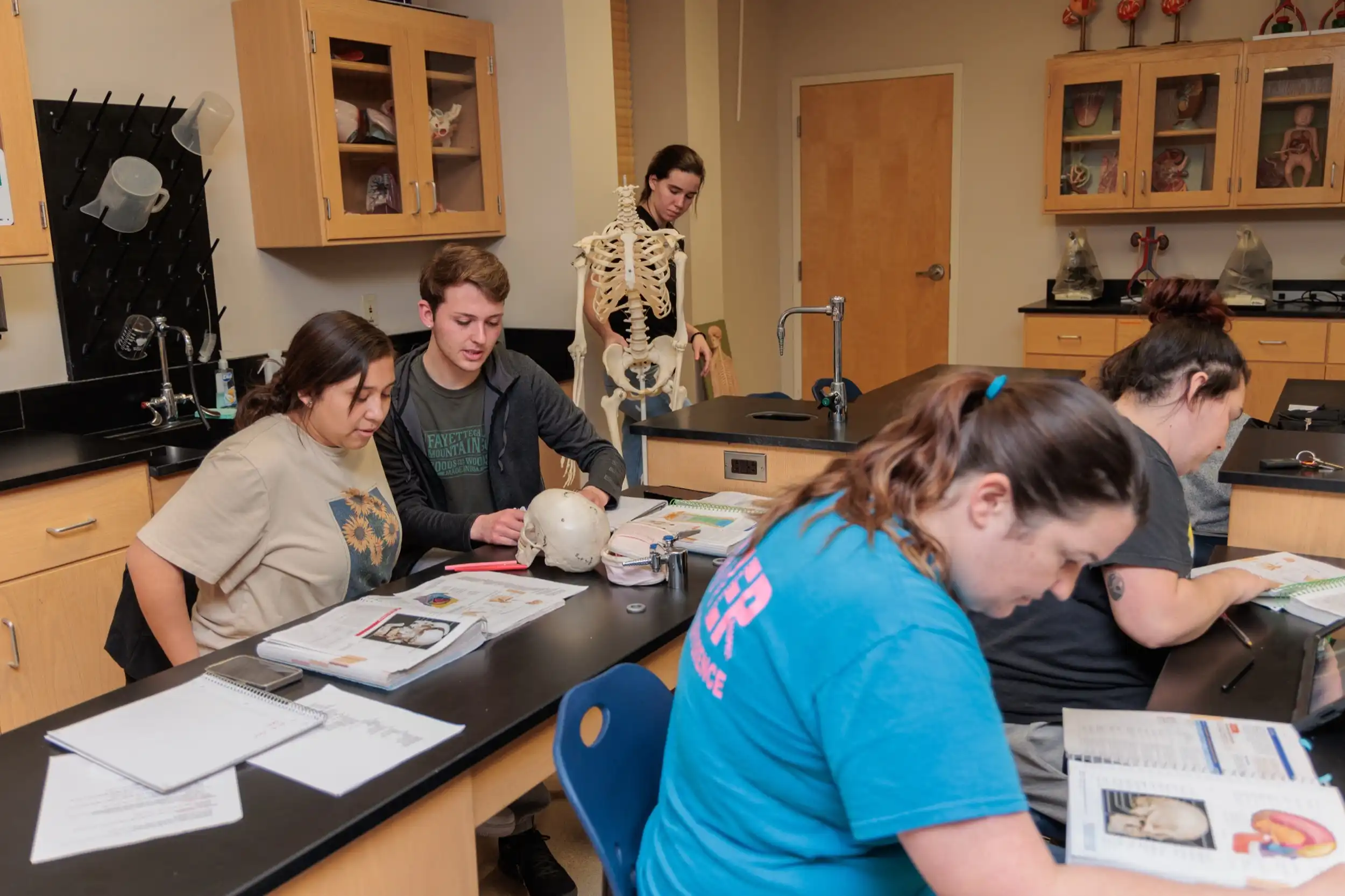 Students study anatomy in a science lab at UACCB, examining a human skull model and open textbooks while a skeleton model stands on a lab bench in the background.